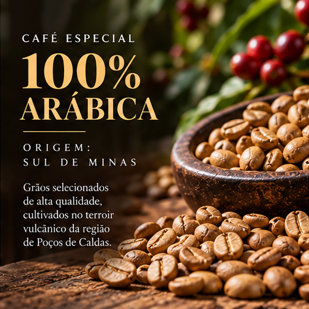 Café Especial Moca Arara 500g - Torrado em Grão