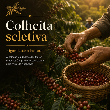 Café Cru/Verde 85 pontos 100% Arábica