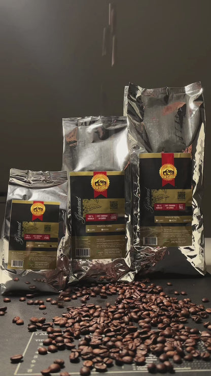Café Gourmet Moido 100% Arabica  1Kg
